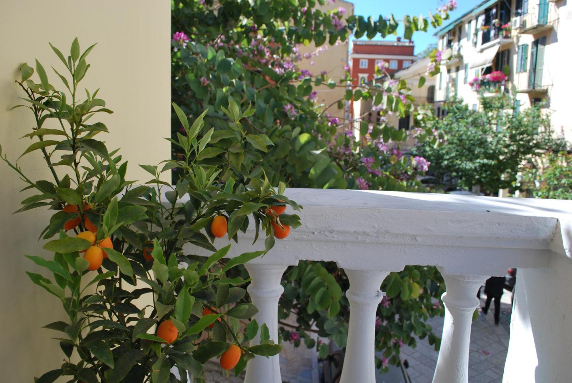 Lilliput Studio Corfu Old Town Exterior photo